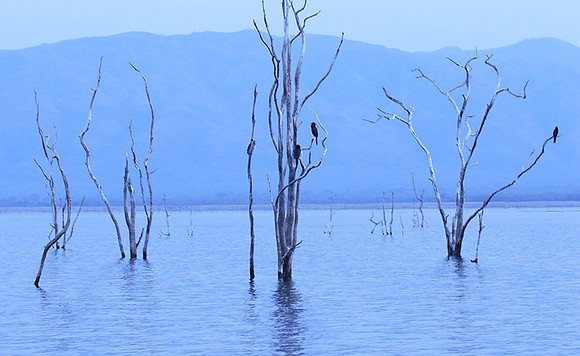 Lake Kariba - Matusadona NP