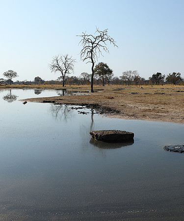 Hwange National Park