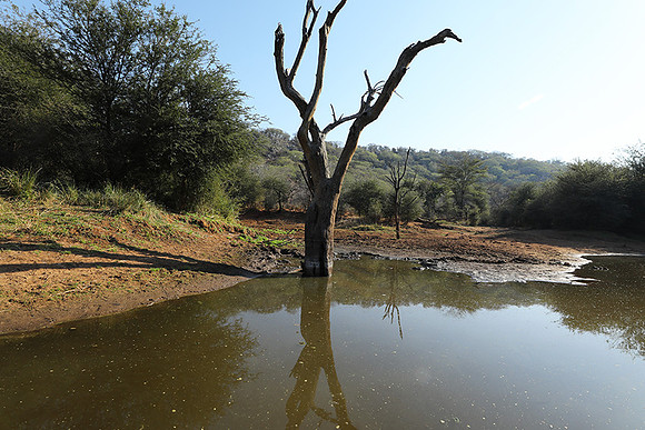 Dam lake Malilangwe