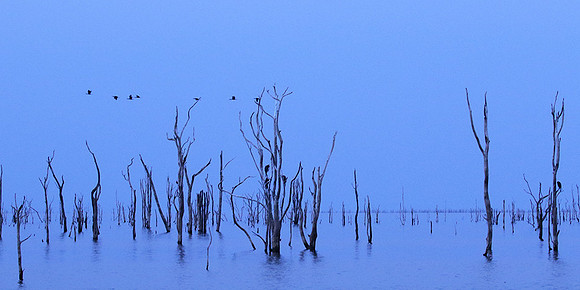 Lake Kariba - Matusadona NP