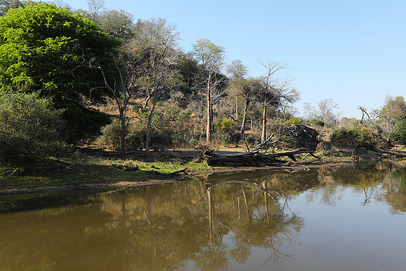 Dam lake Malilangwe