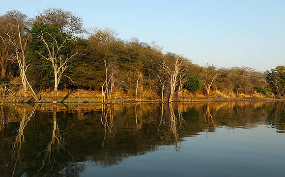 Dam lake Malilangwe