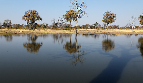Hwange National park