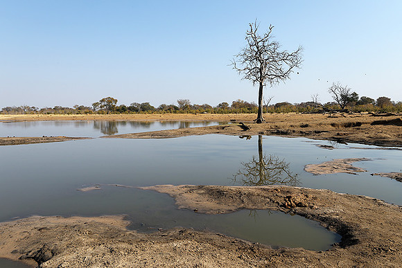 Hwange National Park