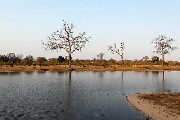 Hwange National park