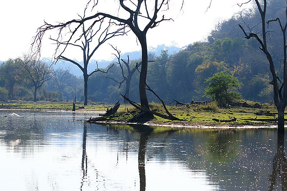 Dam lake Malilangwe