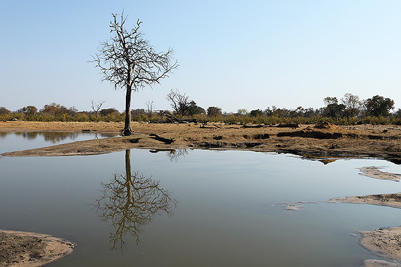 Hwange National Park