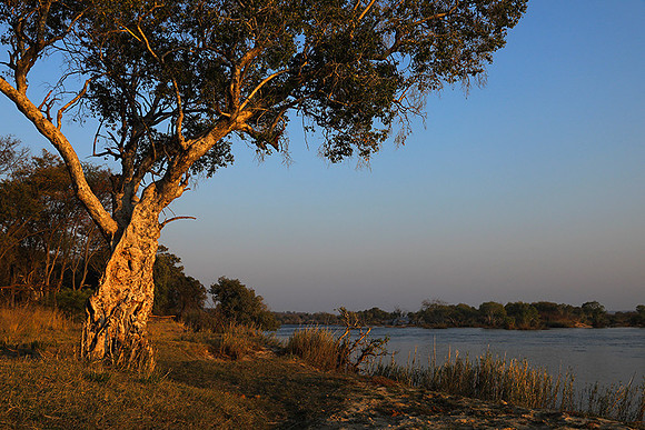 Matetsi game reserve