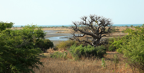 Lagoon