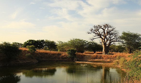 Lanscape near the lagoon