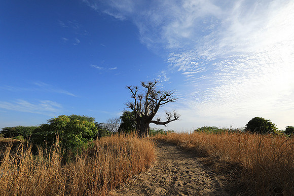 Lanscape near the lagoon