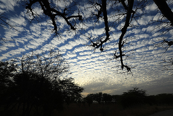 Lanscape near the lagoon