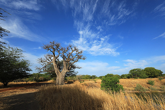 Lanscape near the lagoon