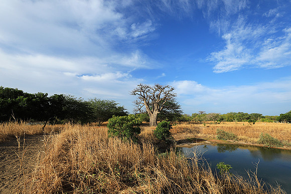 Lanscape near the lagoon