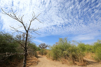 Lanscape near the lagoon