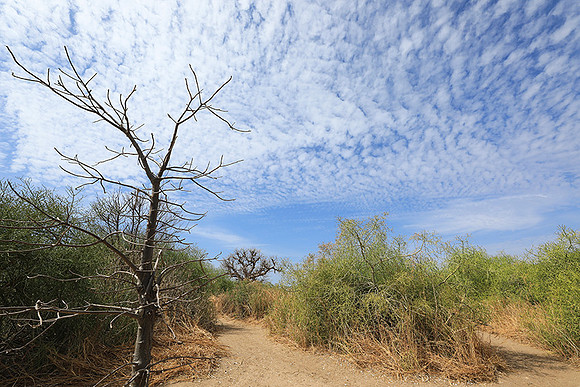 Lanscape near the lagoon