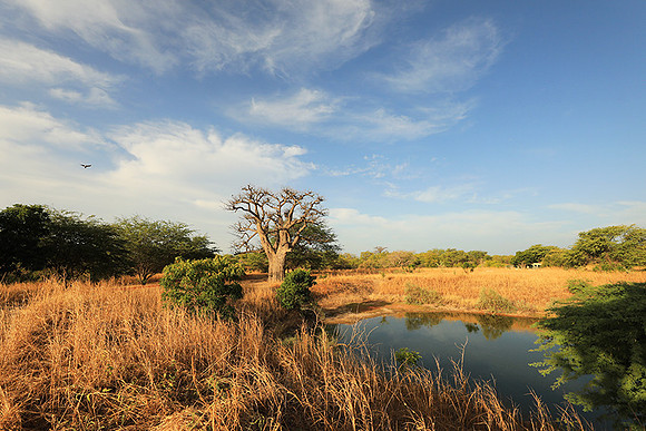 Lanscape near the lagoon
