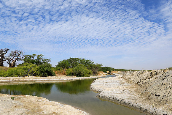 Lanscape near the lagoon