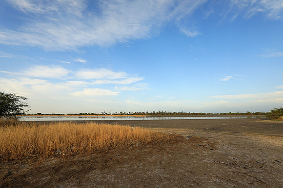 Lanscape near the lagoon