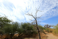 Lanscape near the lagoon
