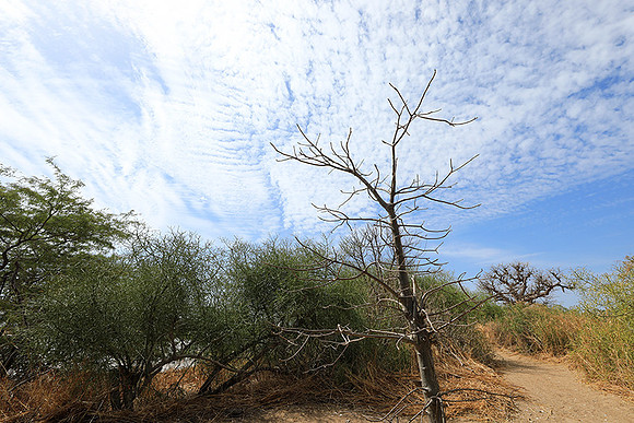 Lanscape near the lagoon