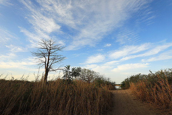 Lanscape near the lagoon