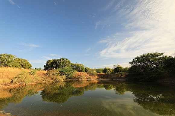 Lanscape near the lagoon