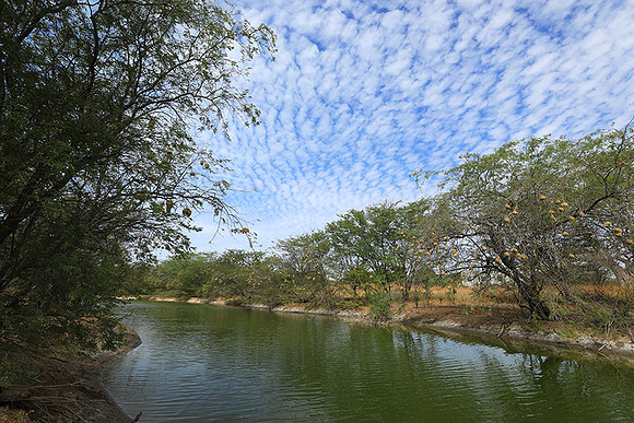 Lanscape near the lagoon