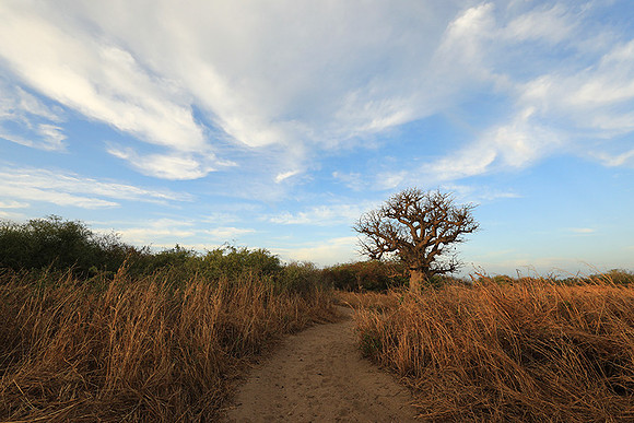 Lanscape near the lagoon