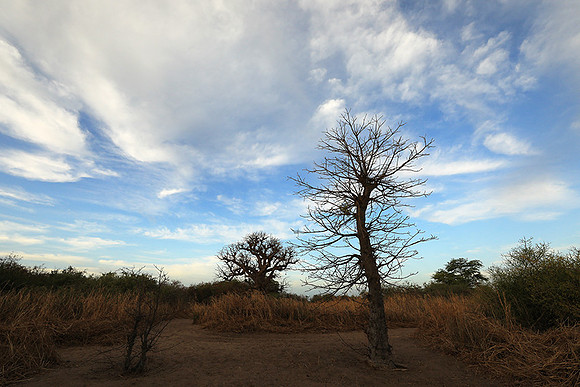 Lanscape near the lagoon