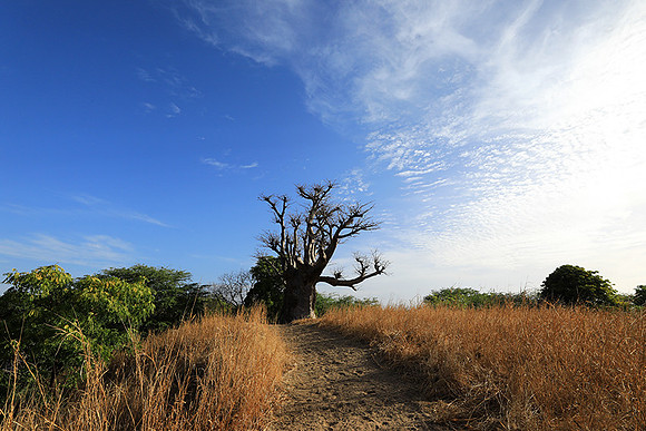 Lanscape near the lagoon