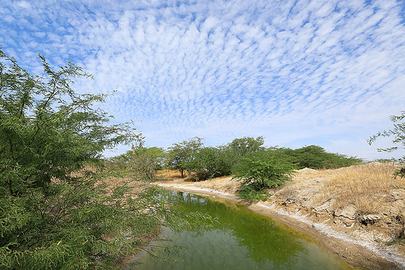 Lanscape near the lagoon