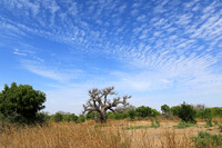 Lanscape near the lagoon