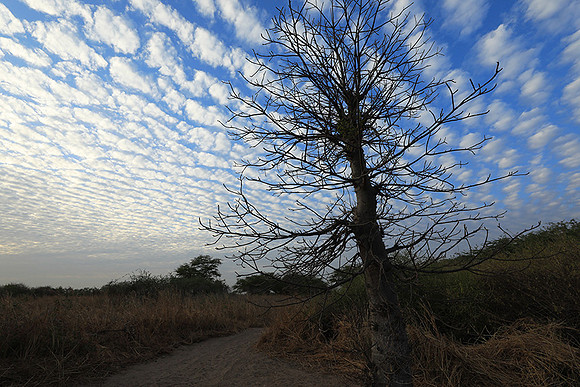 Lanscape near the lagoon