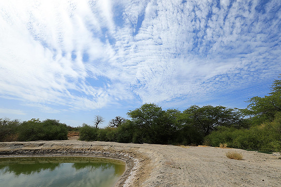 Lanscape near the lagoon