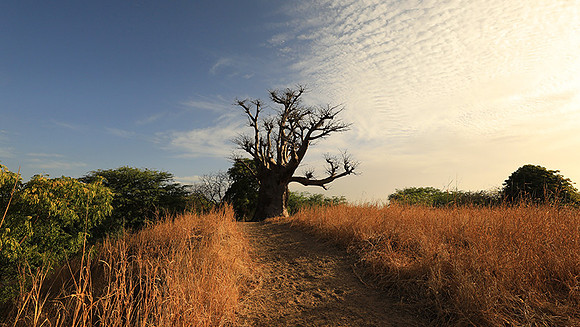 Lanscape near the lagoon
