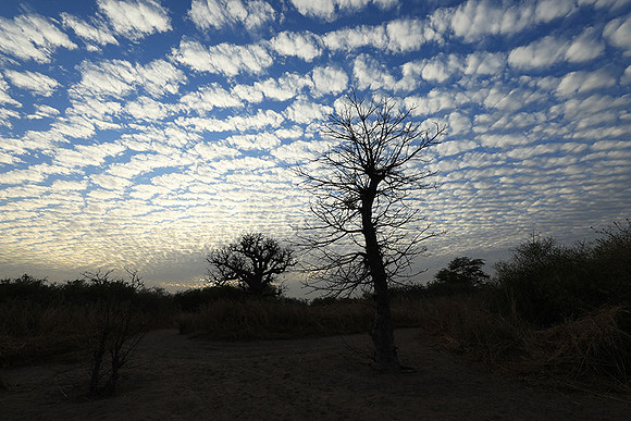 Lanscape near the lagoon
