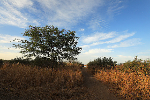 Lanscape near the lagoon