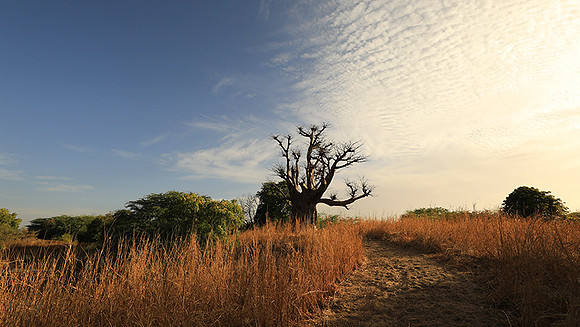 Lanscape near the lagoon