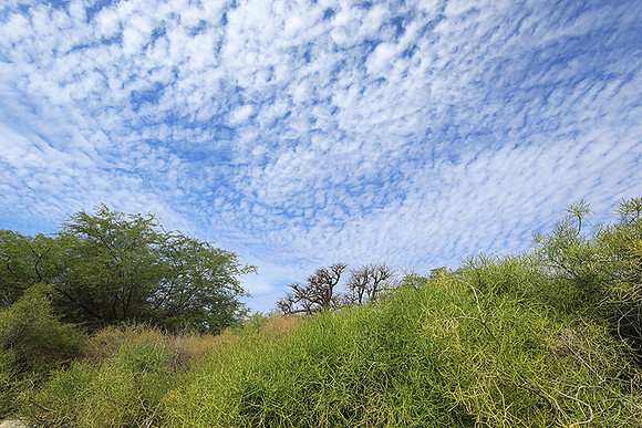Lanscape near the lagoon