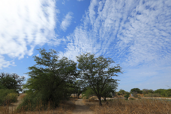 Lanscape near the lagoon
