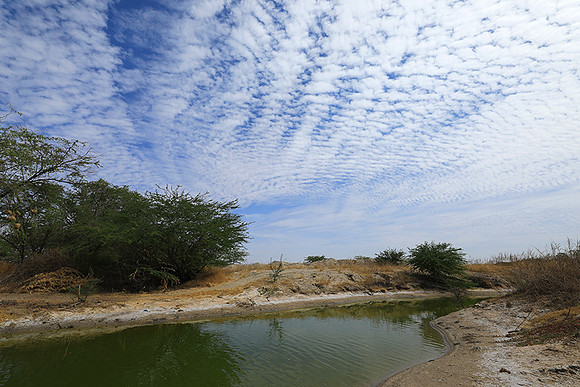 Lanscape near the lagoon