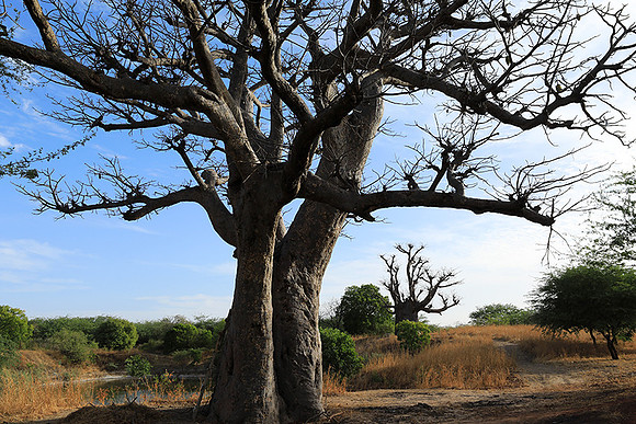Lanscape near the lagoon