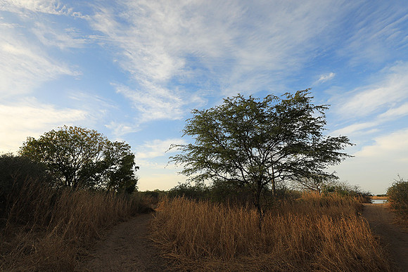 Lanscape near the lagoon