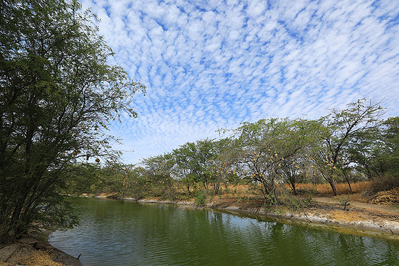Lanscape near the lagoon