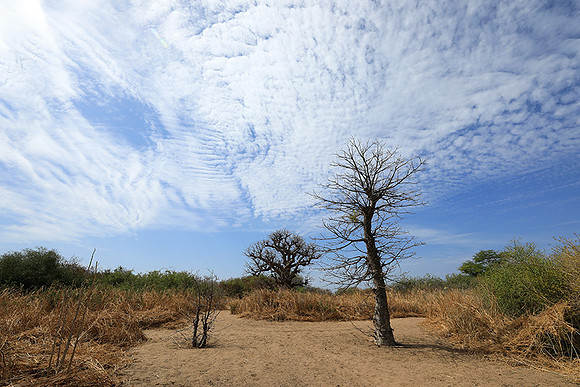 Lanscape near the lagoon