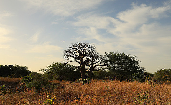 Lanscape near the lagoon