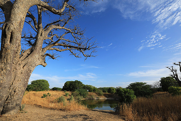 Lanscape near the lagoon