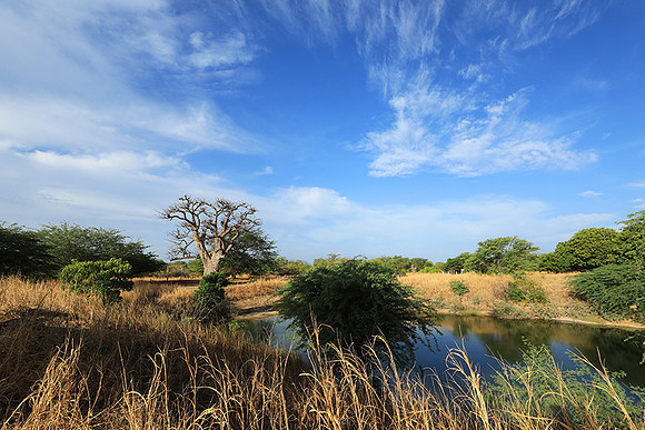 Lanscape near the lagoon