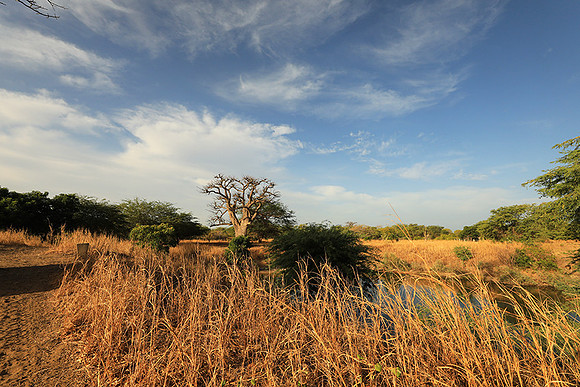 Lanscape near the lagoon